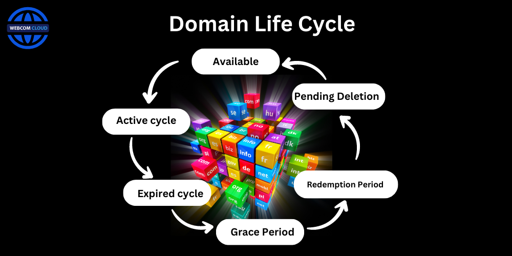 Domain Life Cycle