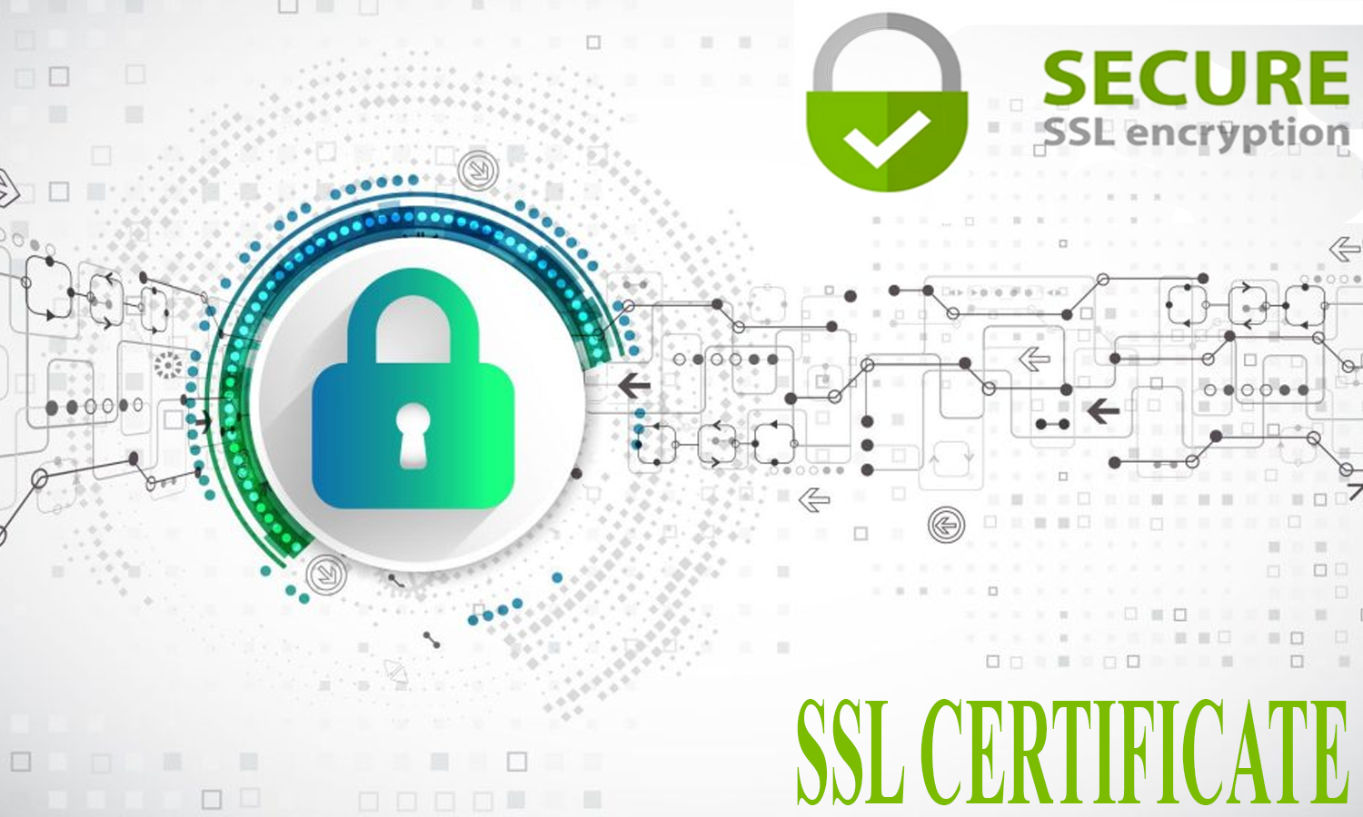 ssl certificate for your business