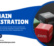 Registering a Domain in Kenya