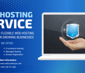 Web Hosting Provider in Kenya