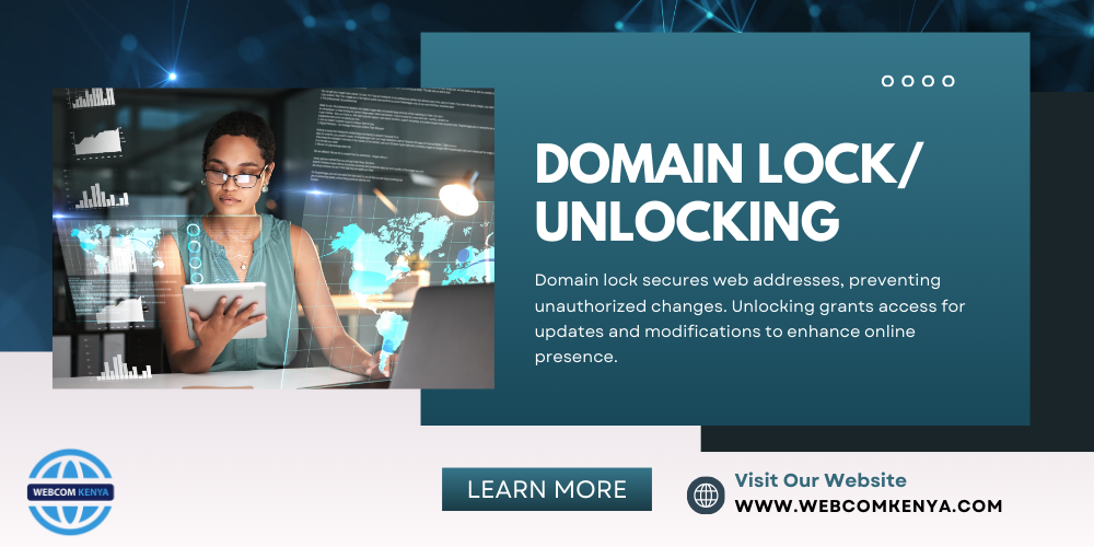 User reasons for locking or unlocking a domain